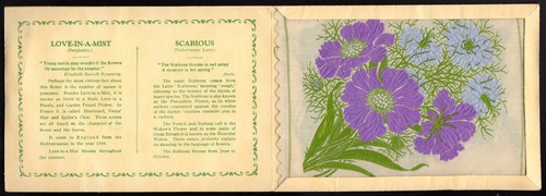Kensitas silk flower - kensitas,