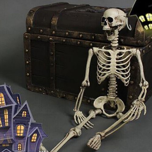 Full size halloween skeleton - size,