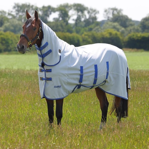 Shires tempest plus sweet itch - shires, sweet-itch