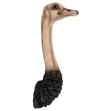 72CM OSTRICH HEAD WALL HANGING