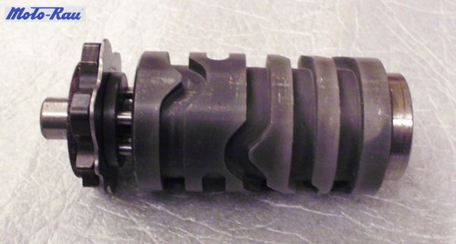 Aprilia rotax 123 - shift, cam