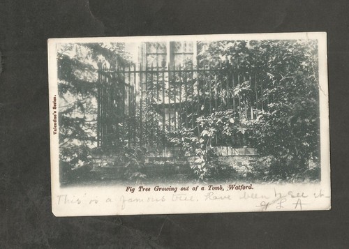 Postcard hertfordshire watford - postcard,