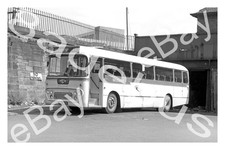 Bus Photograph ALEXANDER