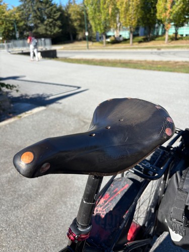 Black brooks b17 special - black,