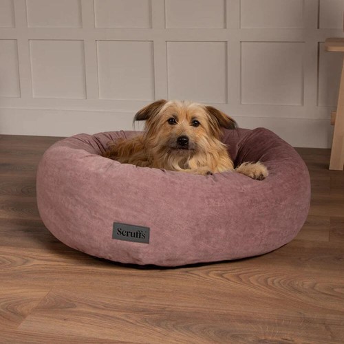 Donut dog bed - donut, scruffs