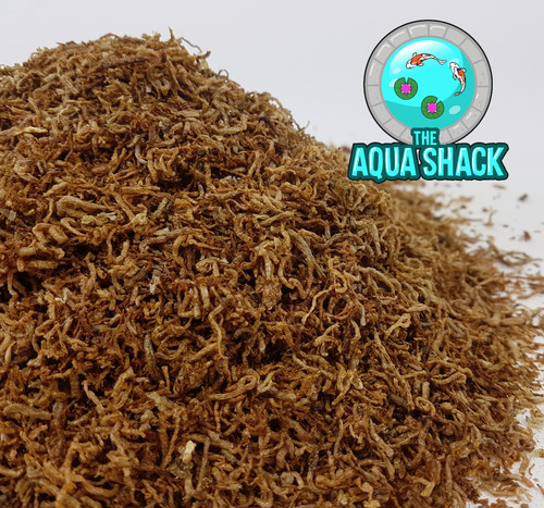 Freeze dried bloodworm - dried,