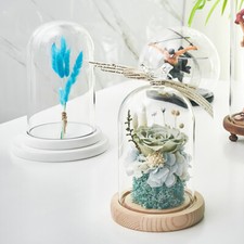 Glass Display Dome Bell Jar