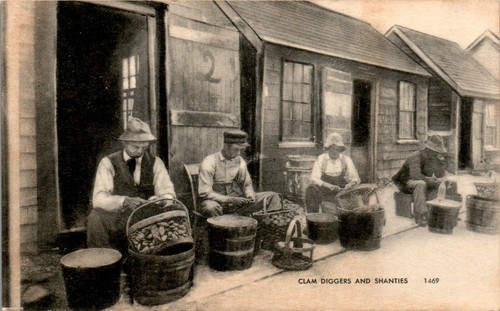 Clam diggers and shanties - clam,