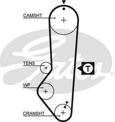Gates timing belt water - timing,