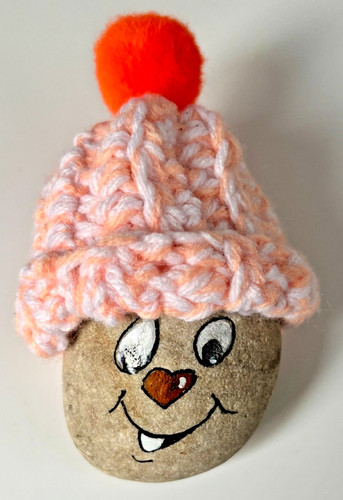 Funny pet rock with - funny,