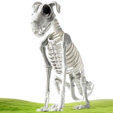 Halloween Skeleton Dog Puppy
