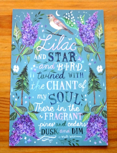 Wildflower picnic postcards - picnic,
