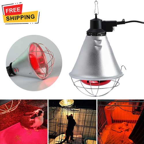 Infrared heat lamp poultry - lamp,