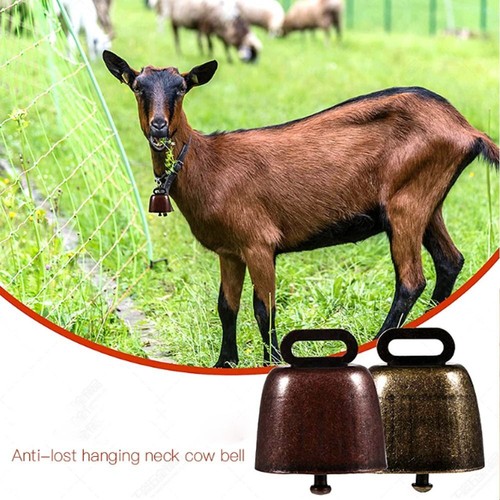 Animal bell grazing - bell, copper