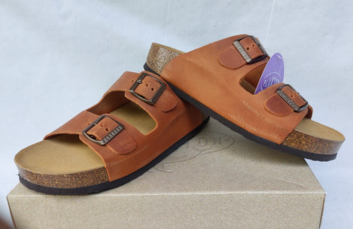 Ladies plakton beta - cp,