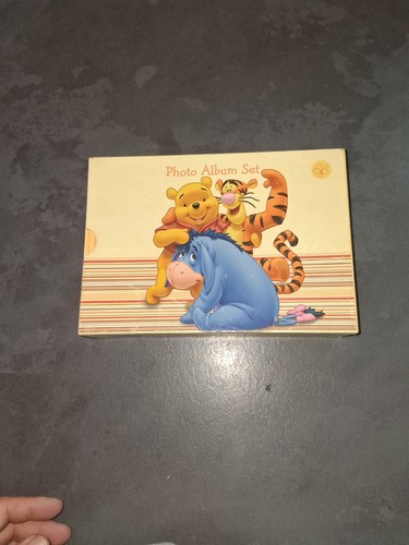 Disney winnie the pooh - winnie,
