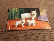 Isle of Man Manx Cat Postcard 1960s.