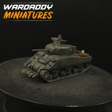 Pro Painted 28mm Bolt Action