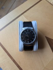 Skagen Men's Stainless Steel