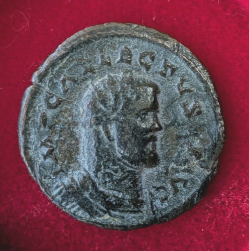 Allectus quinarius - allectus.,