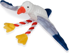 Little Petface) Sammi the