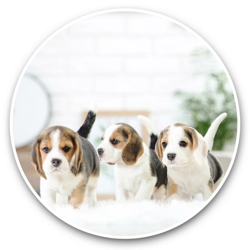 Vinyl stickers 15cm - stickers,