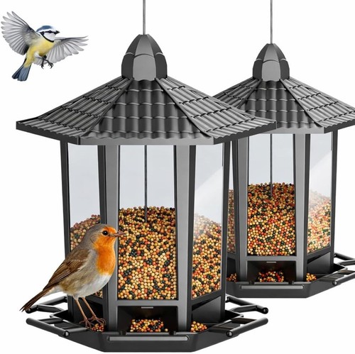 Birdream pack bird - 2,