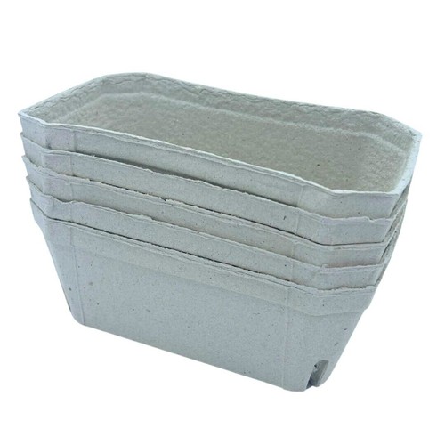 Bramley sage 500g - &,