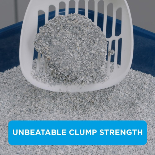 Ever clean extra - extra, strong