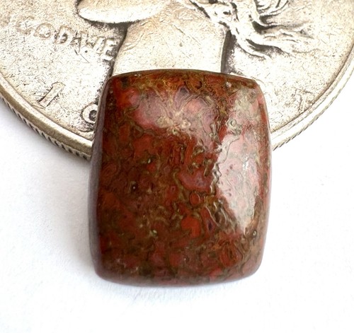 Red cell dinosaur bone - dinosaur,
