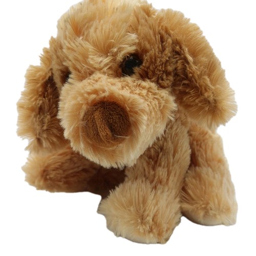 Chelsea teddy bear puppy - teddy,