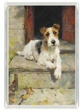 WIRE FOX TERRIER BEAUTIFUL DOG