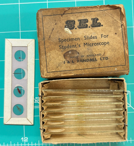Box old specimen - 7, x