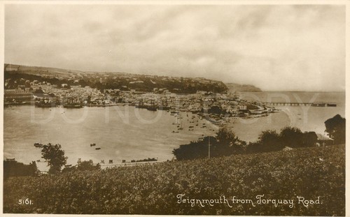 Teignmouth vintage postcard - vintage,