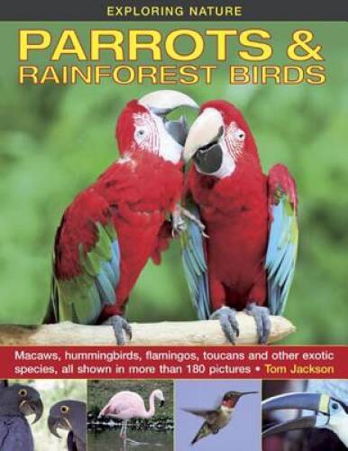 Exploring nature parrots - exploring, nature: