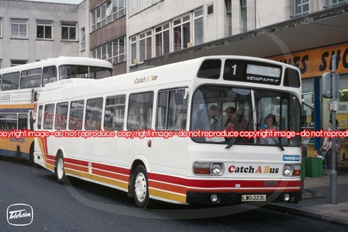 Bus photo catch - catch-a-bus, hylton
