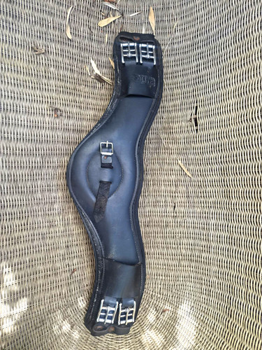 Prolite black dressage - prolite,
