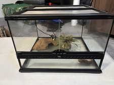 Exo Terra Terrarium Reptile