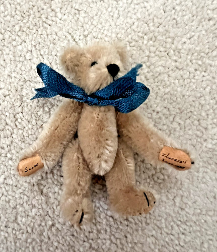 World miniature bears - of,