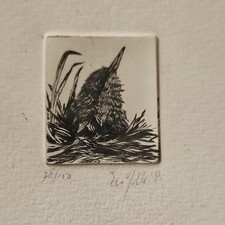Etching Bird in Nest Lmt ed 78/100 signed 