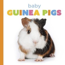Baby Guinea Pigs - Trade