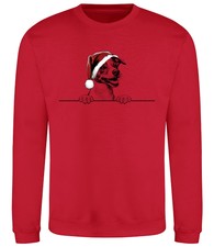 JACK RUSSELL Christmas Dog Sweatshirt Adults Kids Dogs Jumper Xmas Sweater Gift
