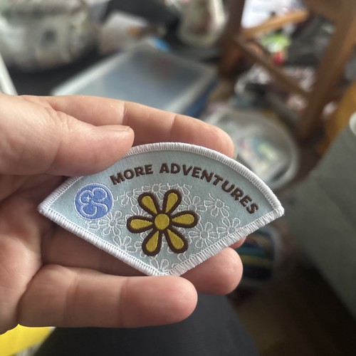 Girl guiding brownie more - girl,