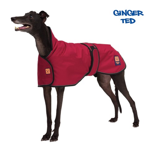 Ginger ted waterproof - ted,