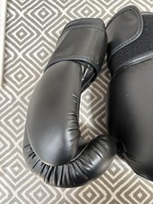 Lion boxing gloves and pads - gloves,