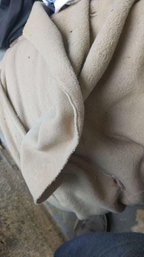 Polartec double sided - double, beige