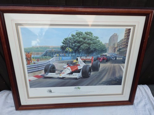 Ayrton senna silva tony - senna,