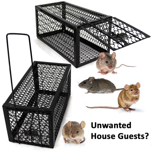 Rat catcher spring cage - catcher,