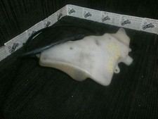 GSXR750 GSXR 750 Srad 97-99 radiator tank bottle Expansion 