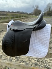 Black Albion Adjusta Legend